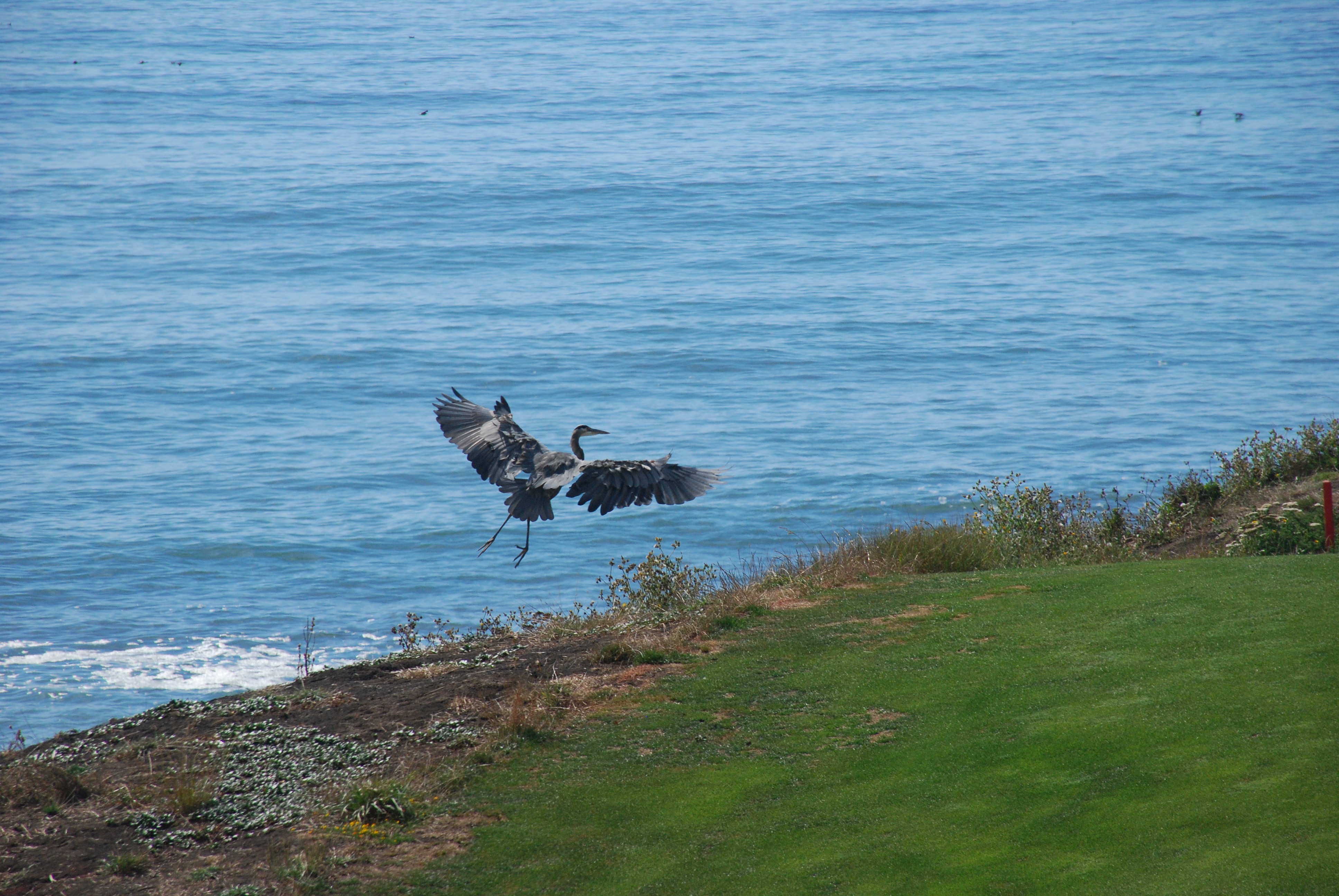 Photos from the event hosted at Half Moon Bay.     